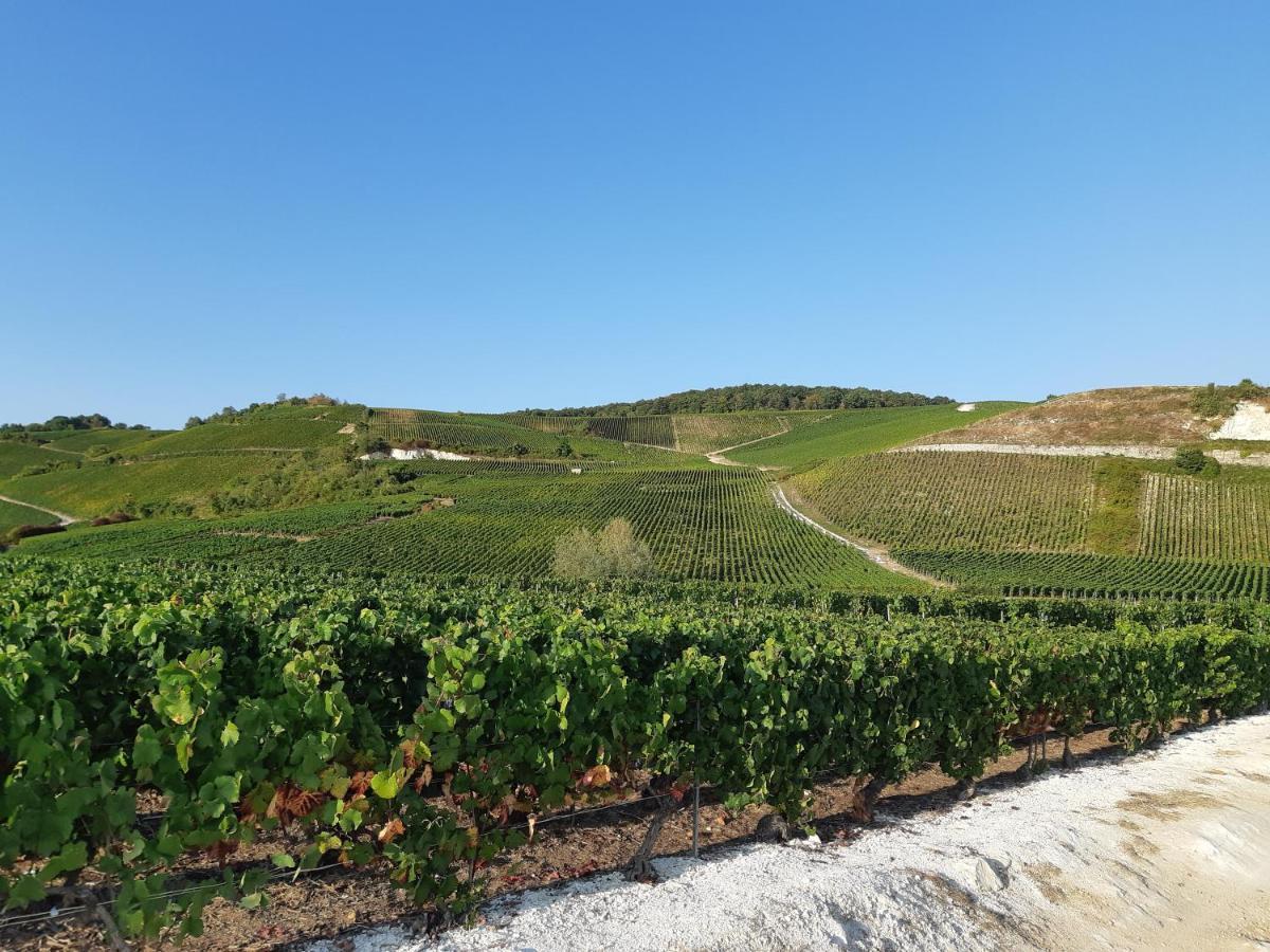 La Cour Des Marotiers Bed & Breakfast Mareuil-sur-Ay Luaran gambar