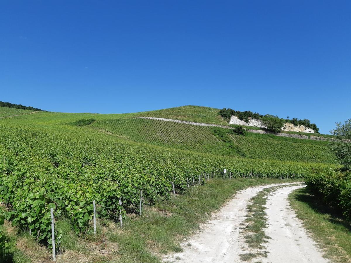 La Cour Des Marotiers Bed & Breakfast Mareuil-sur-Ay Luaran gambar